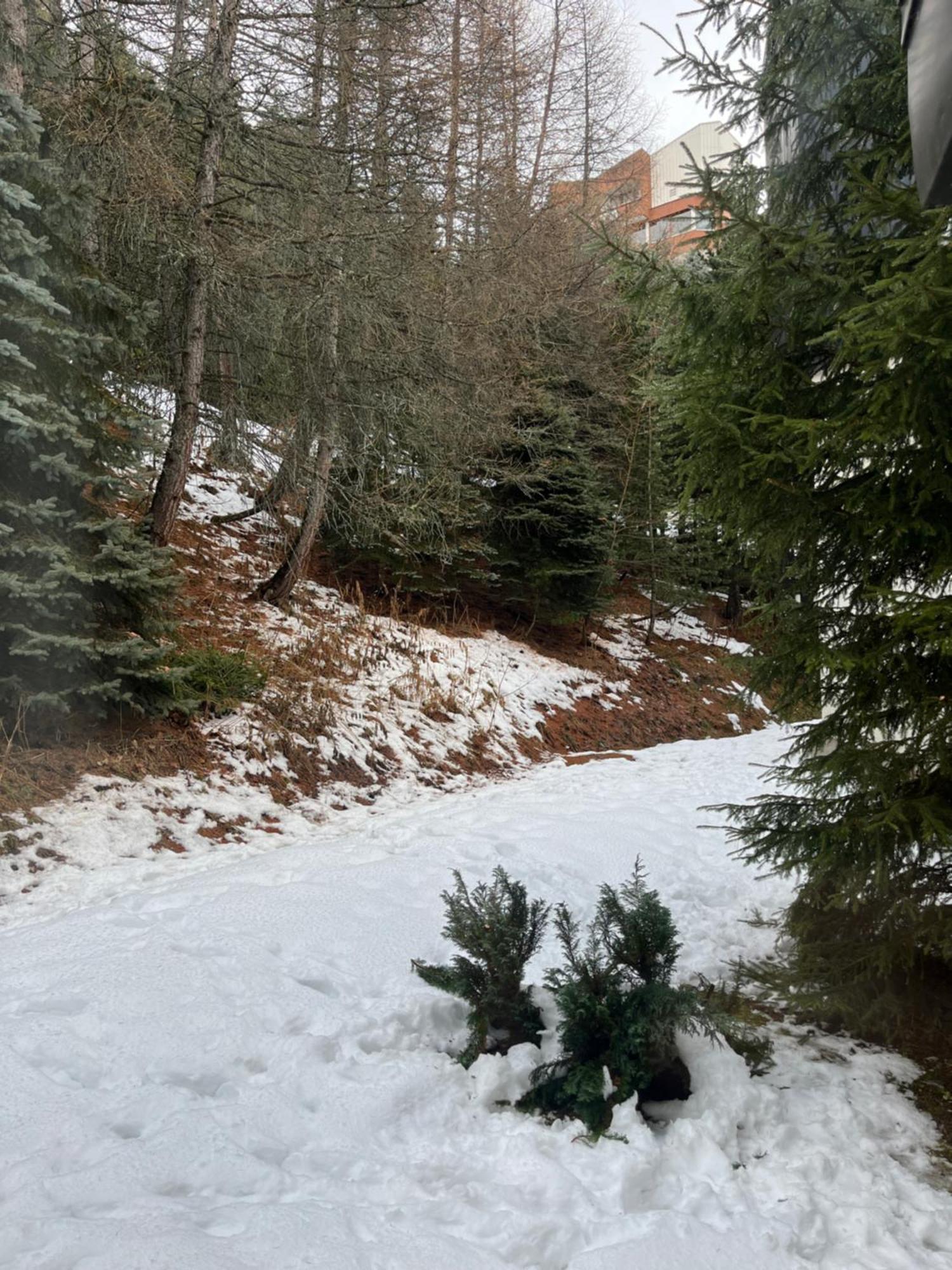 Appartement Les Menuires - 4 Personnes A 20 M Des Pistes 생마르탱 드 벨빌 외부 사진